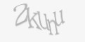 Защитный код